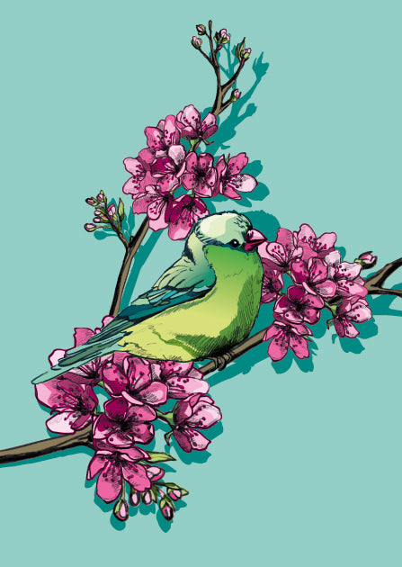 Dicke Postkarten Set 9