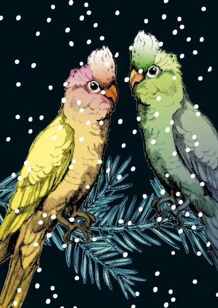 Dicke Postkarten Set 7