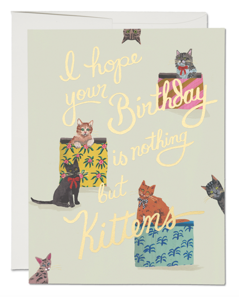 Happy Birthday Geschenke Katzen Karte