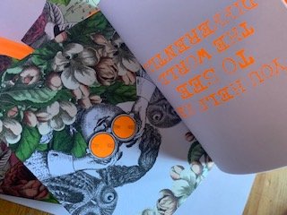 All the Reasons I Love you