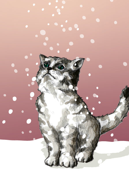 Dicke Postkarten Set Nr 5