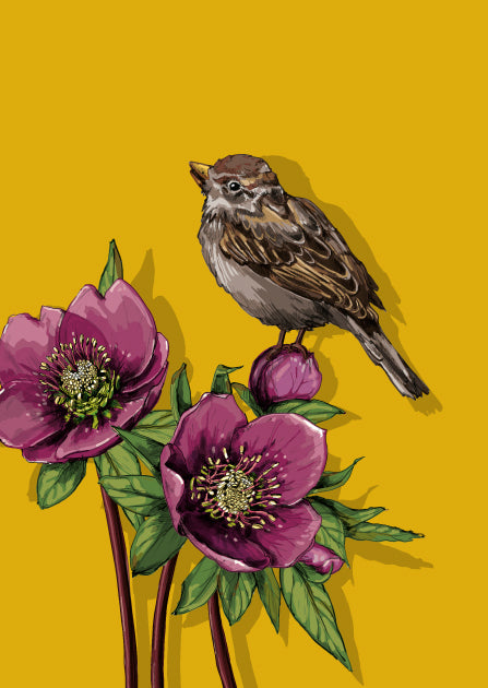 Dicke Postkarte Nr.11