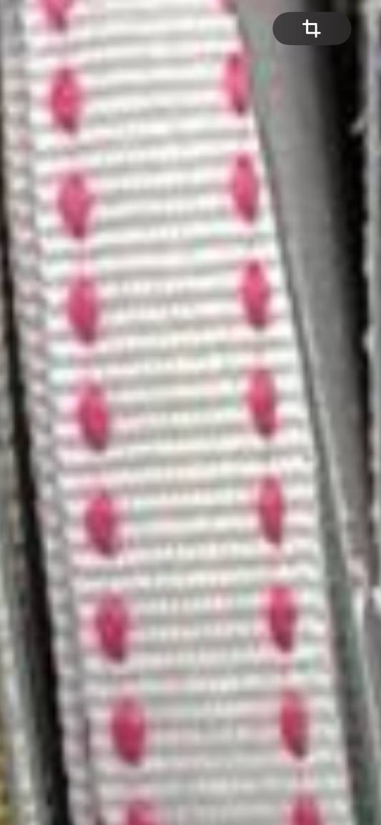 SattelstichBand,Neu Dehli, pink weiß, je 2 m