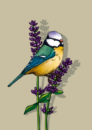 Dicke Postkarten Set 9