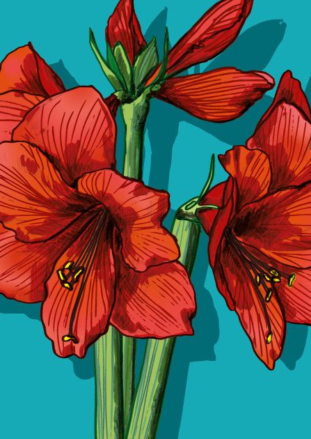 Dicke Postkarte Set Nr.12