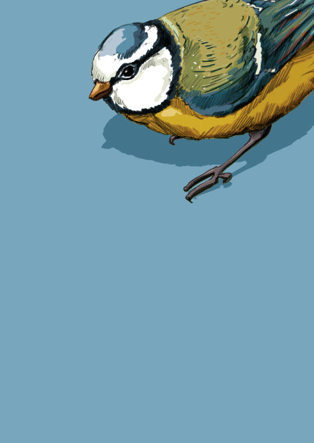 Dicke Postkarte Set Nr.12