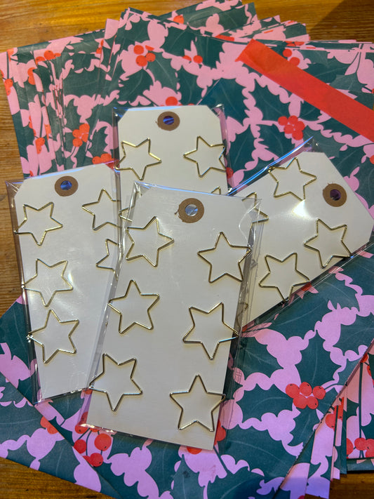 DIY Tüten Ilex, 24 Stk plus 24 Sternklammern, 17 auf 25 cm