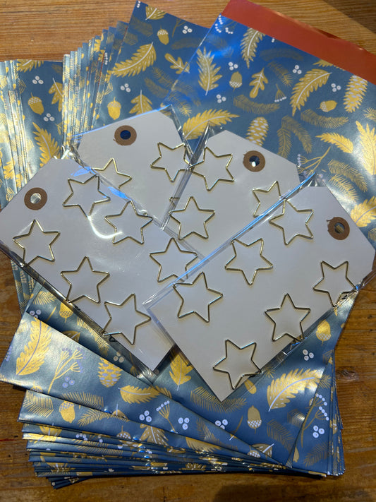 DIY Tüten Zweige, 24 Stk plus 24 Sternklammern, 17 auf 25 cm