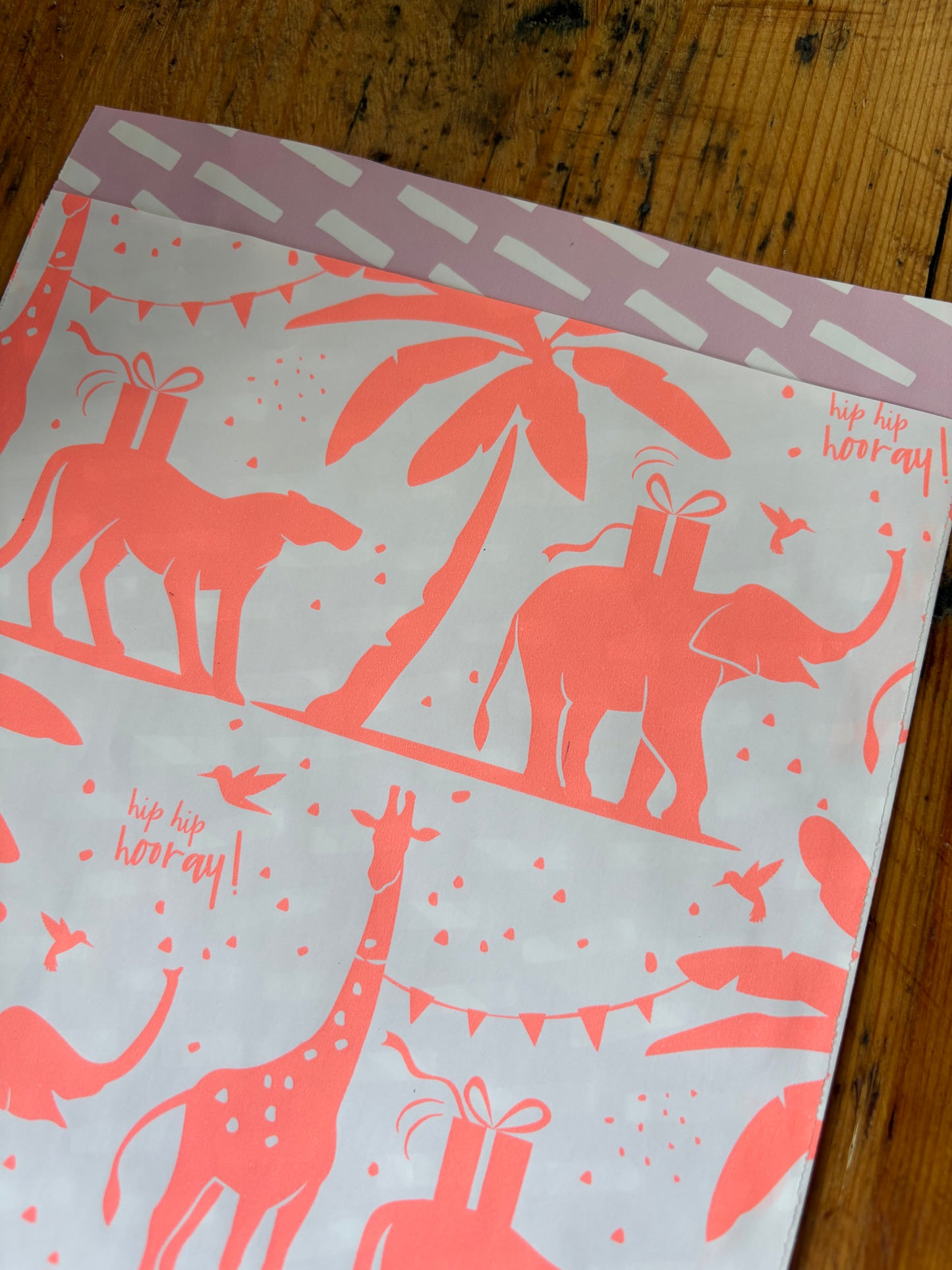 Elefant Tüten, Neon, A5, Set 10 stk