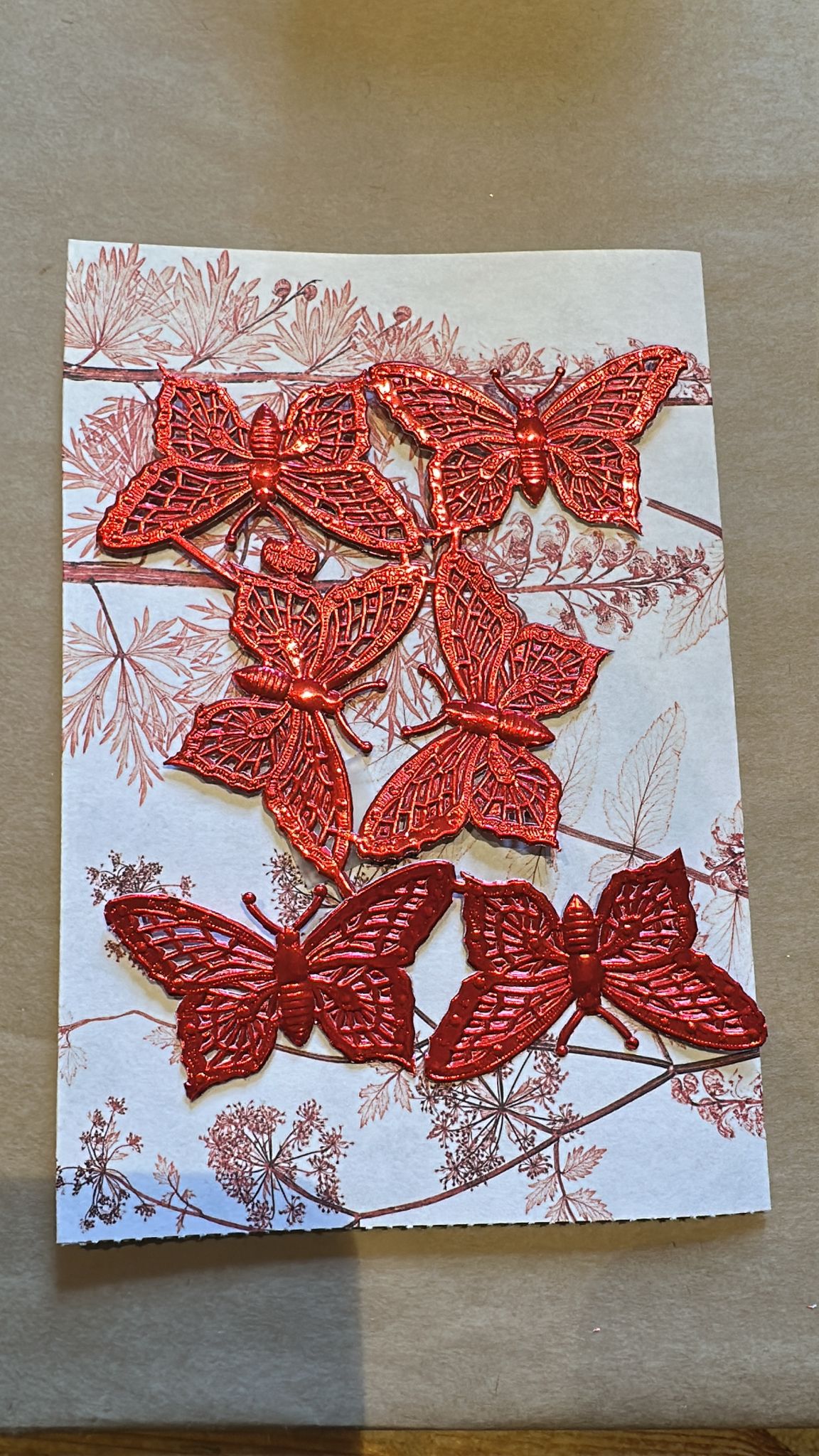 Schmetterlinge, rot