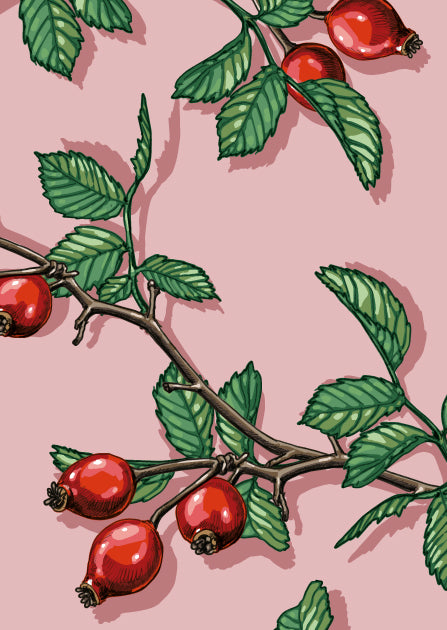 Dicke Postkarten Set 1