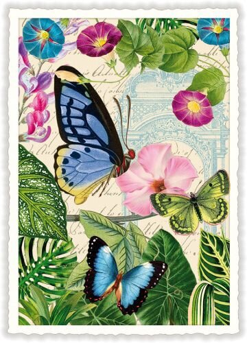 Schmetterling Karte