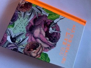 All the Reasons I Love you