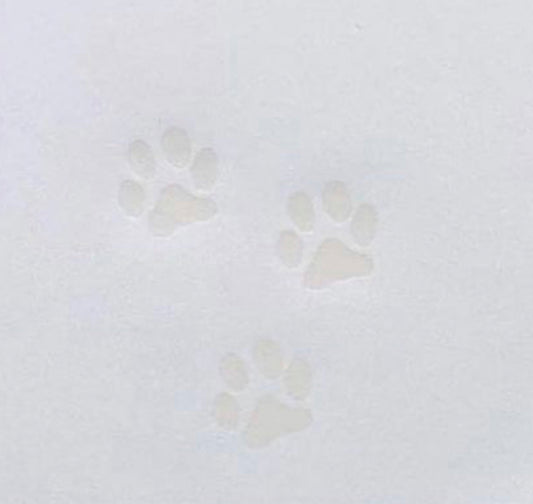 🐇Mega Tatze A5🐇